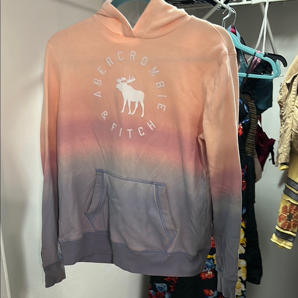 Abercrombie & Fitch Gradient Hoodie